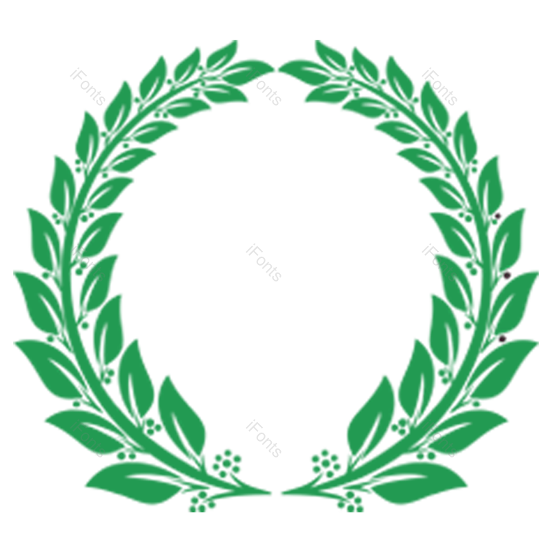纹理边框图片,花纹边框元素,橄榄叶PNG,矢量元素免抠素材
